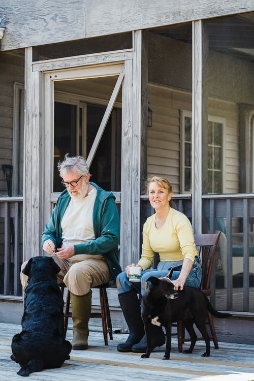 older couple relaxing with dogs